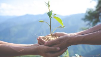 Concept of environmental conservation in the garden for children.
